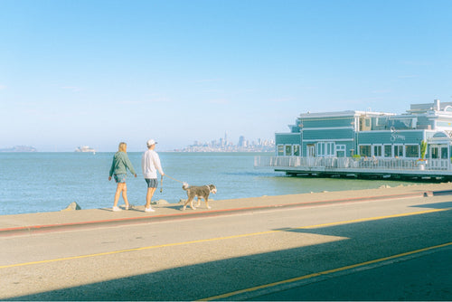 Morning Walk Real Life dog at Fishermans Wharf SF print